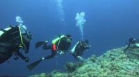 Underwater Altercation Between Dive Guides at Siaes Corner Sparks International Investigation