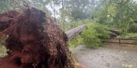 Alabama officials warn homeowners about contractor scams after Hurricane Isaias