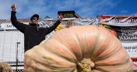 3,156-pound pumpkin grown in Rhode Island is inspected for possible world record