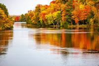 DNR Announces 2027 Seedling Availability And Tree Planting Milestone