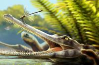 British scientists discover ancient crocodile species with bizarre toothpick-like teeth