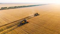 Climate risk and the UK food supply: What lies beyond the farm?