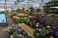 Clothing retailer to open new store at Peterborough garden centre creating six jobs