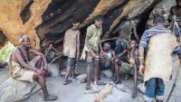 Did Industrialization Gut Our Microbiomes? A New Study on Rural Foraging Communities in South America and Africa Hints the Answer Is Yes