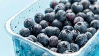 Global blueberry output outpaces demand, prices may fall in 2027