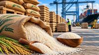 India’s Rice Exports May Decline 4 Percent in 2027 on Lower Supplies: USDA