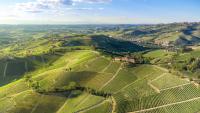 This lesser-known Italian region was just voted one of Europe's top wine destinations