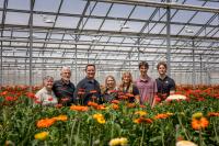 How two generations have kept this family flower farm in bloom