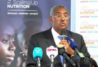 Former DPM Demeke Urges African Nations to Boost Domestic Financing to Combat Malnutrition