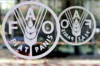 PHL pitching investors for $57M worth of agrifood projects at Rome FAO forum
