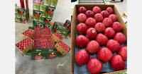Turkish apples see opportunity in India amid supply challenges from Iran and Afghanistan