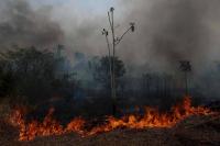Brazilian Environment Minister Says Fires in Amazonas Point to Criminal Activity