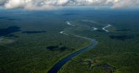 What Finance Can Tell Us About the ‘Twin Crises’ of Climate Change and Biodiversity Loss