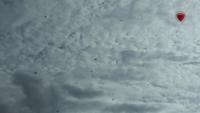 VIDEO: Turkey showcases swarm of kamikaze “mosquito” drones