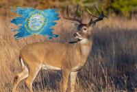 Deadly South Dakota Deer Disease Triggers License Refunds