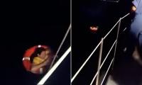 Moment female cruise passenger is found alive 70 miles off Zante 'in true miracle' 20 HOURS after jumping from mega ship 'because she wanted to disembark'