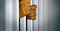 Environmental crime: Who could go to prison for EUDR breaches?
