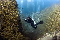 Shedding light on the sea: Interview with Thai photographer Sirachai Arunrugstichai