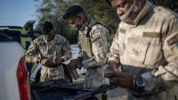 Criminal protection: illicit uses of South Africa’s private security industry