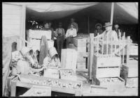 When Pacific Beach grew lemons instead of houses