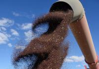 Reports call for more value-added agriculture