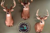 Michigan Hunters: The DNR Wants Your Deer’s Head