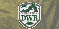 Department of Wildlife Resources asks for public input for 2027–2028 seasons