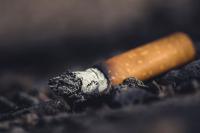 The economics of harm reduction