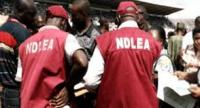 NDLEA has transformed Nigeria’s drug control — Marwa at UNGA