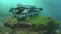 New Zealand builds an arsenal of tools to battle a ‘wily’ invasive seaweed
