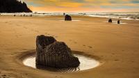 A New Perspective on the Oregon Coast