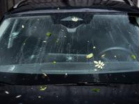 Swiss Re estimates CHF1.7 billion hailstone damage