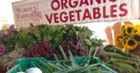 Cheyenne Farmers Market is wrapping up for the season this weekend