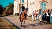 How do UK sport horse auctions stand against European versions? H&H investigates