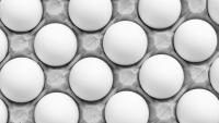 UK recalls eggs from Ukrainian producer due to Salmonella enteritidis