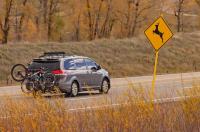 Environment Colorado gathers data to better understand wildlife-vehicle conflict
