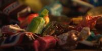 Parenting Playbook: Organizations offering free events for kids’ health; Halloween candy spending