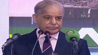 PM Shehbaz calls for fair wheat prices for farmers, affordable supplies for consumers