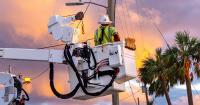 Electric company announces near-total recovery of service in six counties of Florida after Isaias
