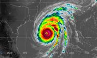 Florida-only carriers bear the brunt as reinsurance renewals hold