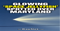 SpaceX Rocket Launch Creates Glowing ‘Jellyfish’ Cloud Over Maryland Sky