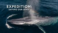 Trailer Debut: Auliʻi Cravalho Narrates National Geographic's "Expedition: Saving Our Seas"