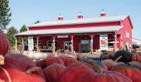 Chef’s Garden Celebrates the Harvest with a Fall Festival
