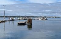 Appeals court rules against Maine lobster industry in lawsuit targeting Monterey Bay Aquarium Foundation
