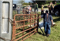 Cattle truck overturns on Kansas highway
