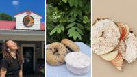 Ani’s Bagel Café Opens New Wells, Maine Location With Fresh-baked Bagels And Roasted Coffee