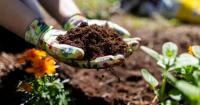 Albuquerque Public Schools launches compost program