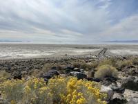 “Spiral Jetty” community meetup inspires stewardship of land art and the environment