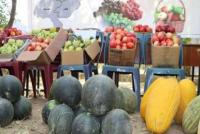 Afghanistan: Lack of cold storage facilities puts agricultural products at risk