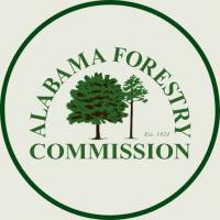 Alabama Forestry Commission offering relief to land owners for potential southern pine beetle outbreaks